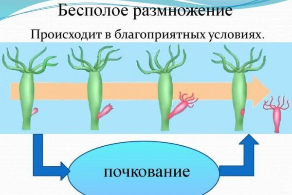 Кракен сбой