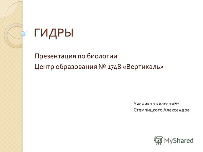 Как зарегистрироваться в кракен в россии